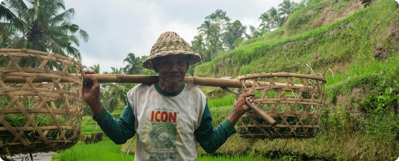 Project Details Cover