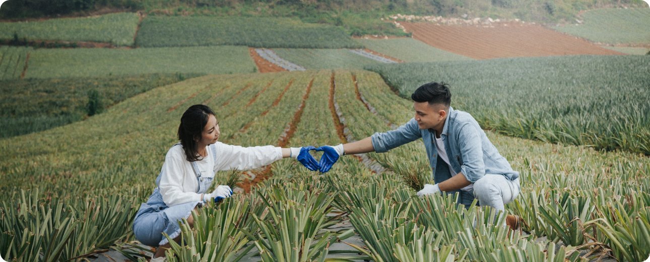 Project Details Cover